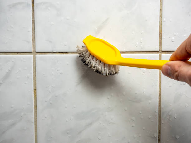 Best Toxic Mold Removal  in Stewartstown, PA