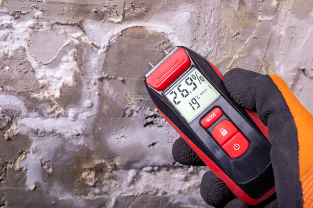 Best Mold Damage Repair  in Stewartstown, PA