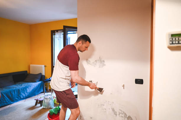 Best Office Mold Removal Services  in Stewartstown, PA